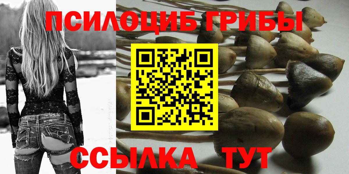 Севастополь  Галлюциногенные грибы Psilocybine cubensis  Галлюциногенные грибы GOLDEN TEACHER  Вход с VPN 